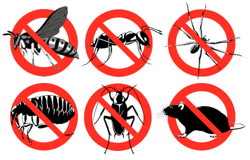daunatori