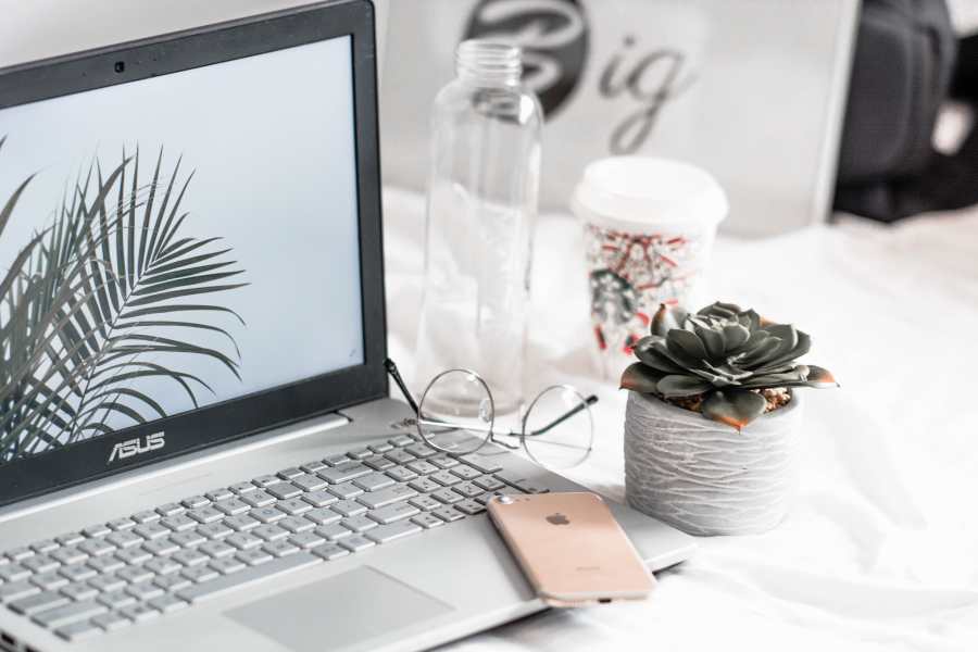 Firma SEO