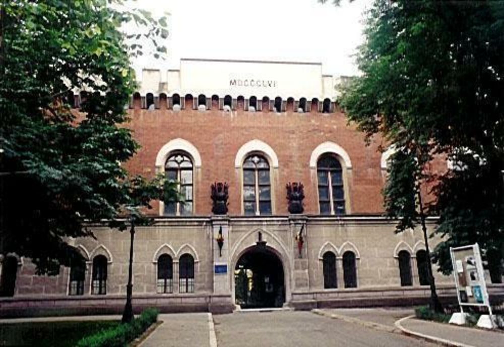 Castelul Huniade din Timișoara, rămas de căruță: nu se primesc bani de la centru pentru reabilitarea lui
