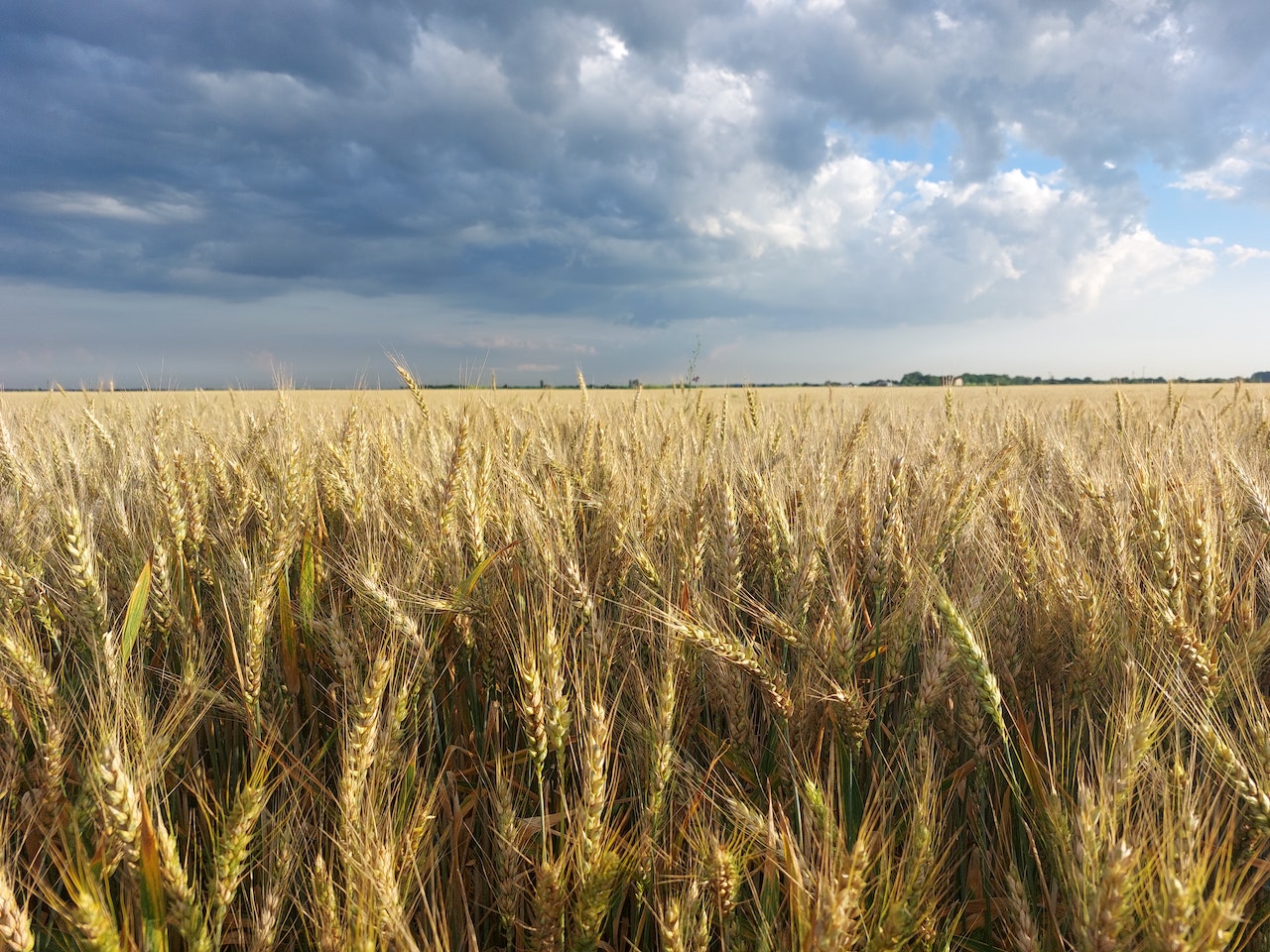 Pompele de irigatii agricole sunt esențiale pentru succesul oricărei ferme sau afaceri agricole