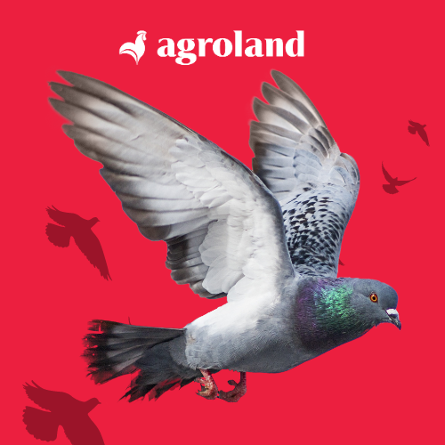 pet shop produse - agroland
