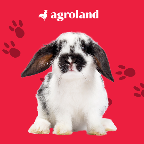 pet shop produse - agroland