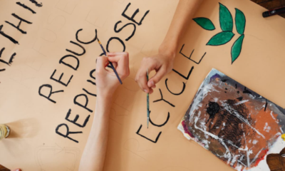 Raportarea amprentei de carbon: O obligație legală și o oportunitate de creștere în România
