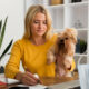 Avansul și garanția cerute de un pet sitter din București, între prudență și exagerare