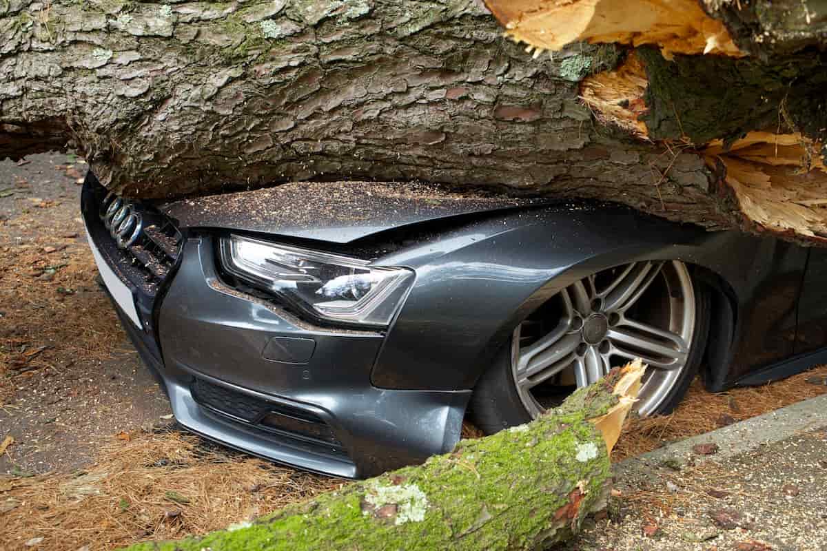 Cum să alegi o asigurare CASCO bună pentru mașina ta nouă?