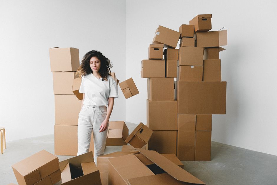 Cutii de carton în sufrageria unui apartament nou, cu o plantă pe pervaz
